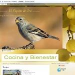 ____       El Piquito de Oro      ____